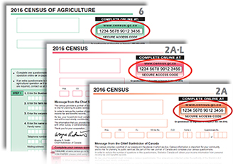 Sample image of SAC 2A questionnaire, SAC2A-L questionnaire, and SAC 2A-R questionnaire